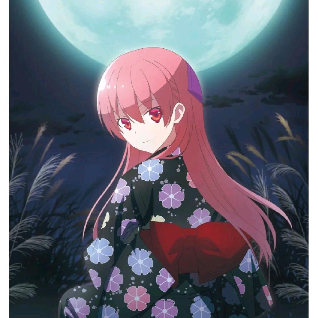 成都市新都区大丰动漫号