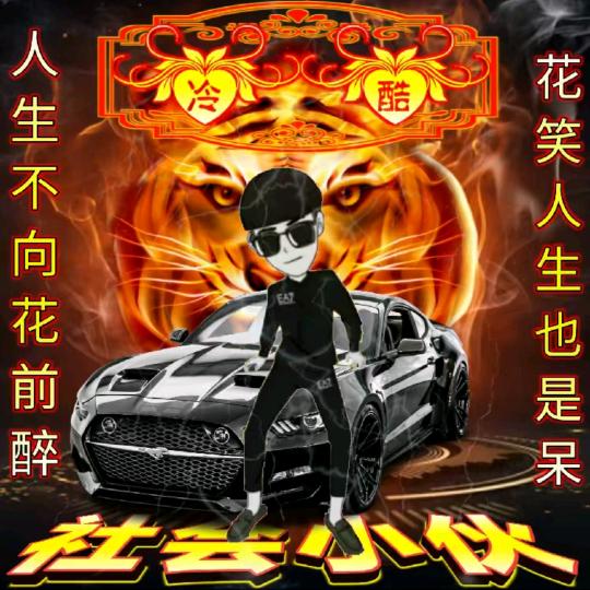 山西数码有限公司