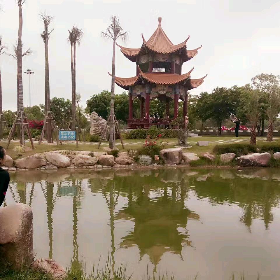 锤子哥的玩具
