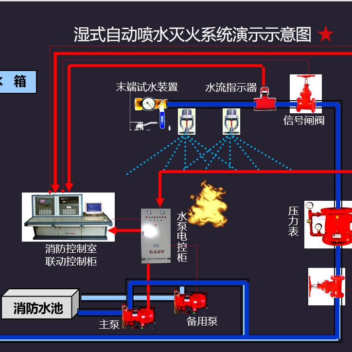 金涛