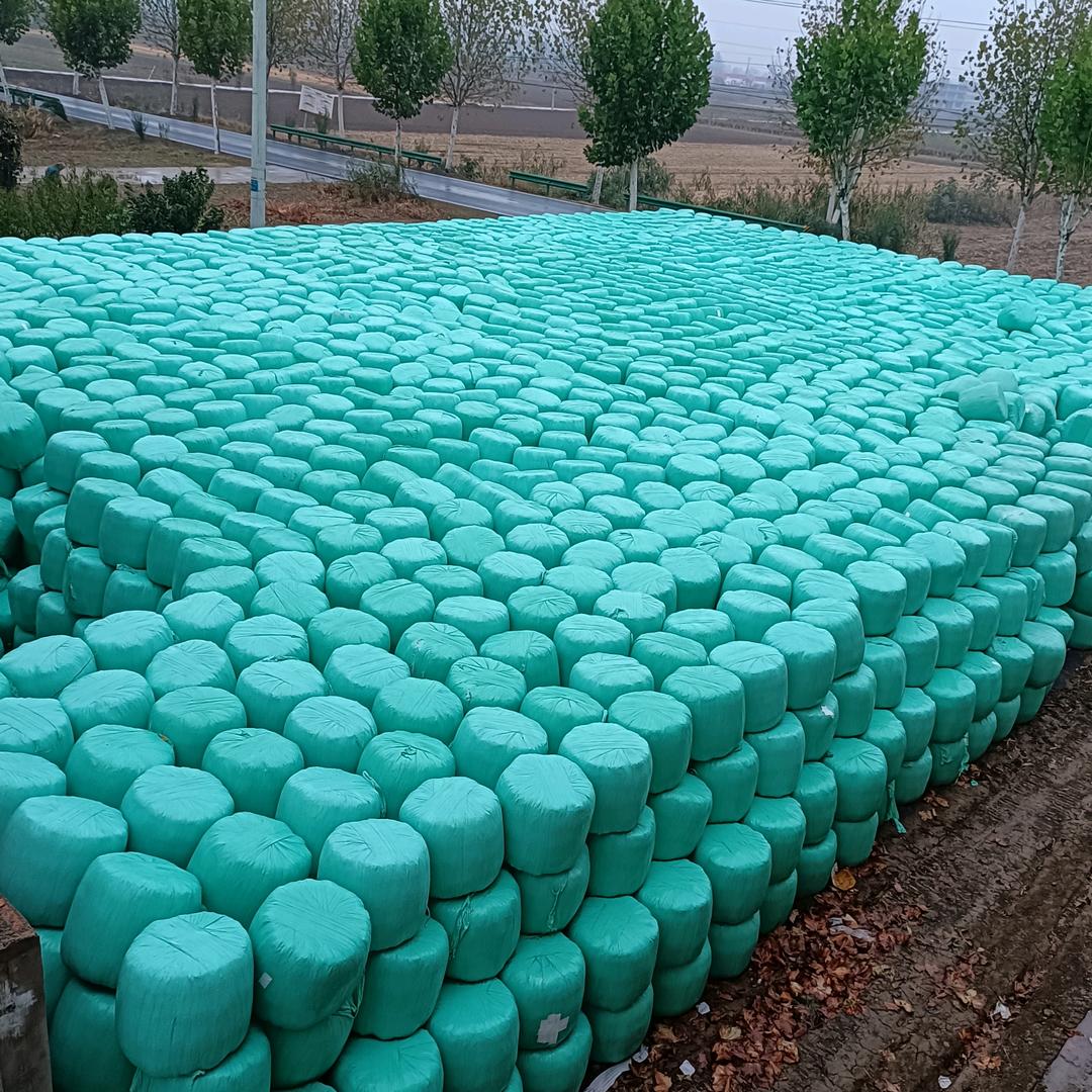 颍上县耿棚镇，出售玉米秸秆，青储黄储