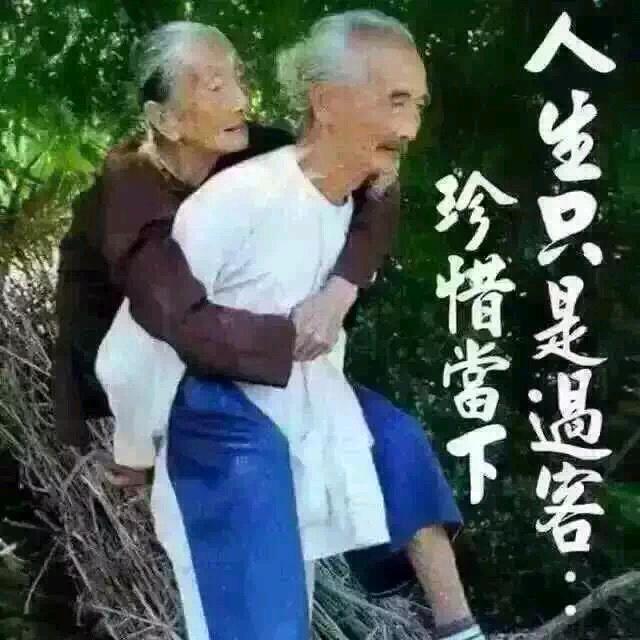 吉普赛