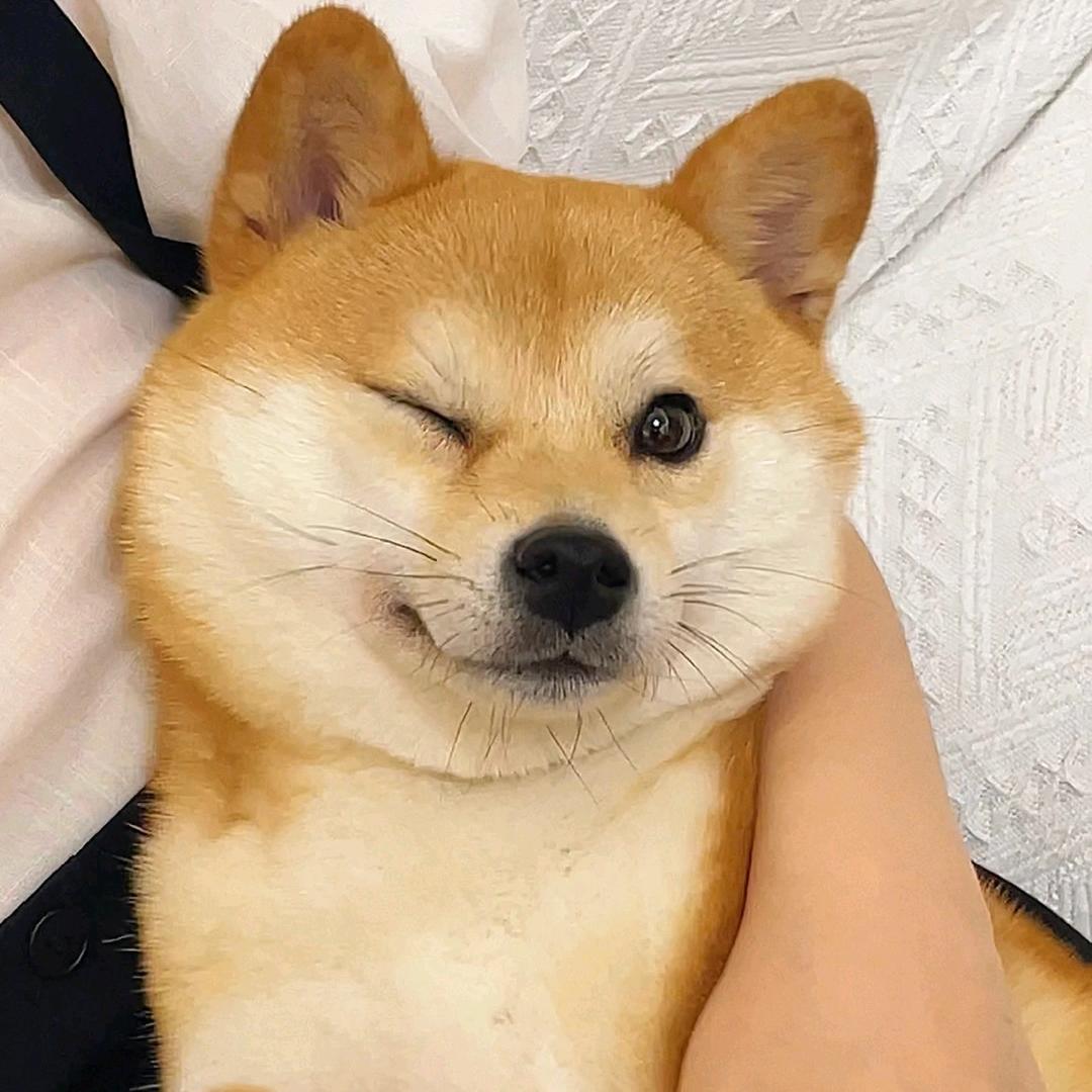 生物课代表
