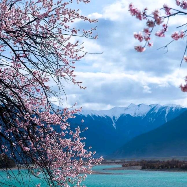 戏🌹梦🧚‍♂️🧚‍♀️