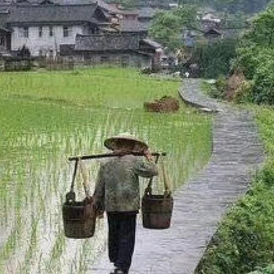 单行的✈️轨道