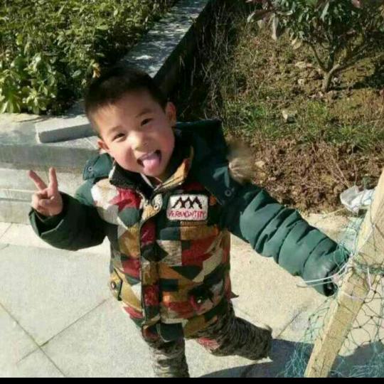 亮丽鑫毅
