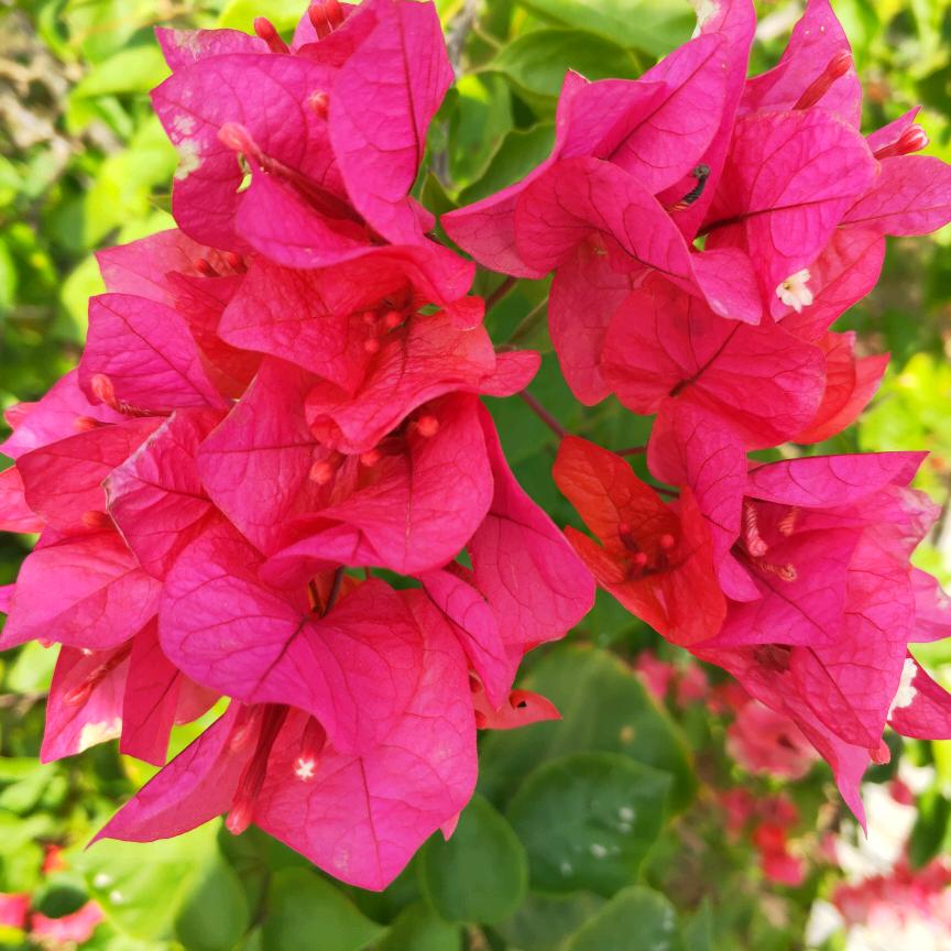 不要迷恋姐，姐夫已成传说