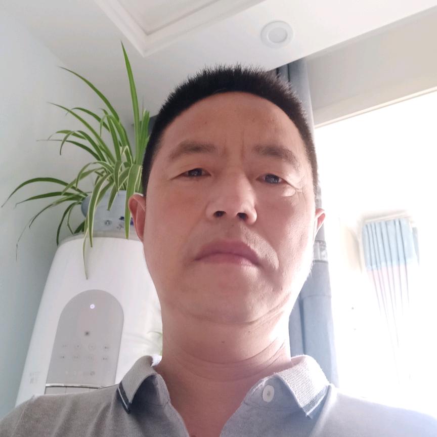 宝哥在努力