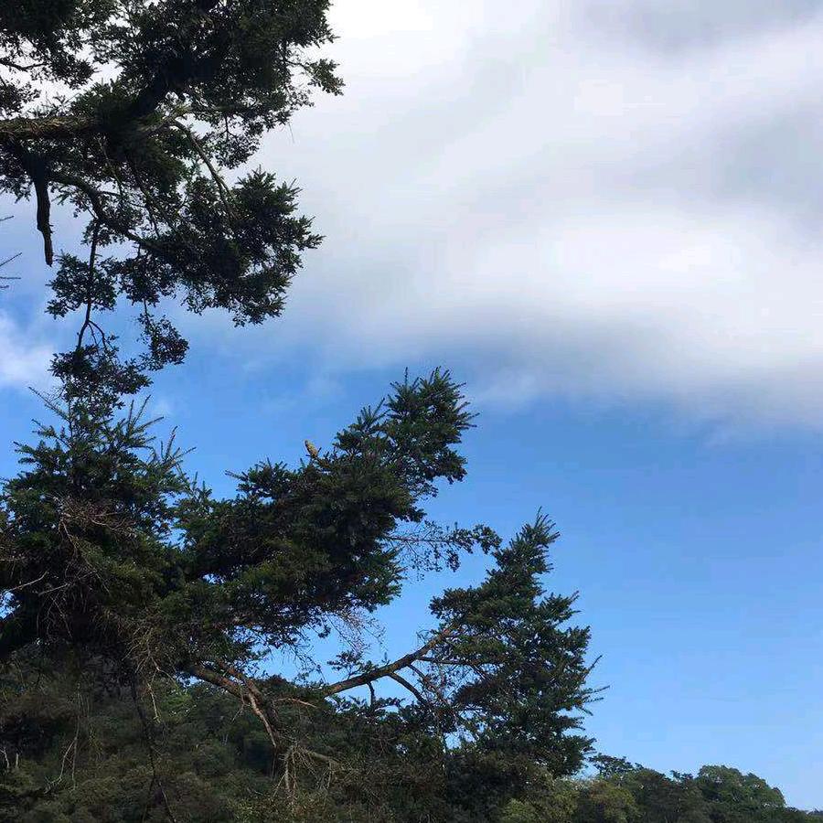 瑞翔