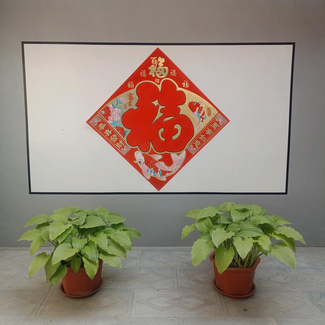 都挺好