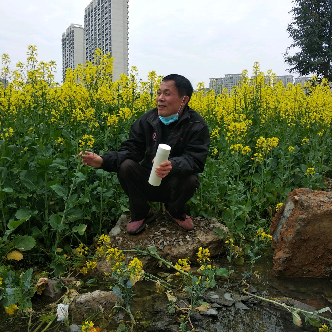 卞永贵