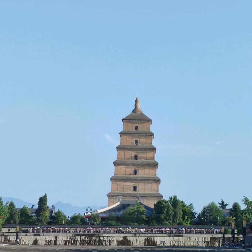 何老怪