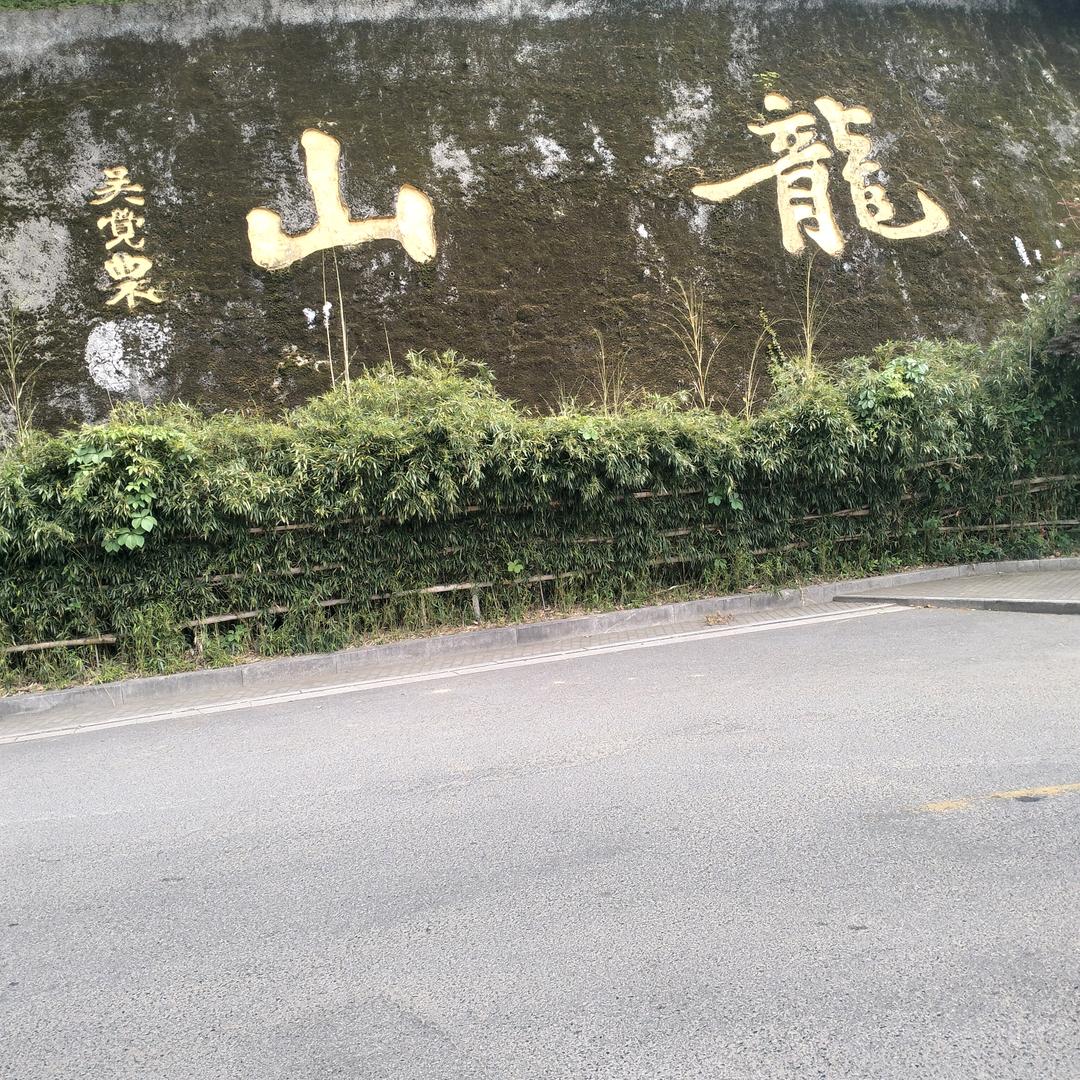 老李哥❤️