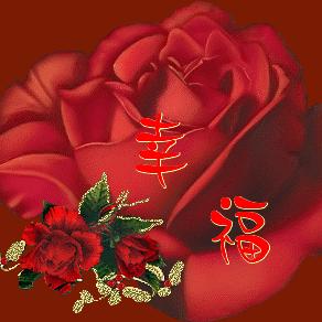🇨🇳A木林森🇨🇳