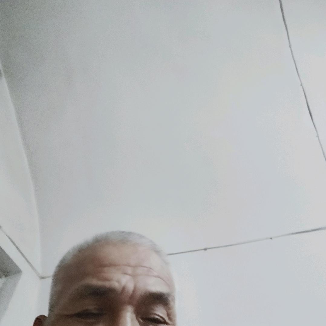 皇