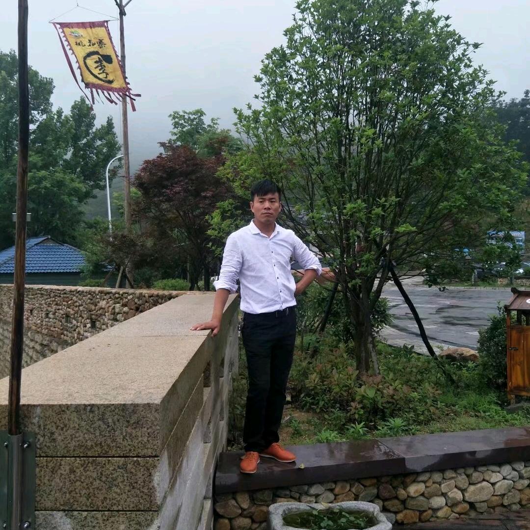 凤舞九天