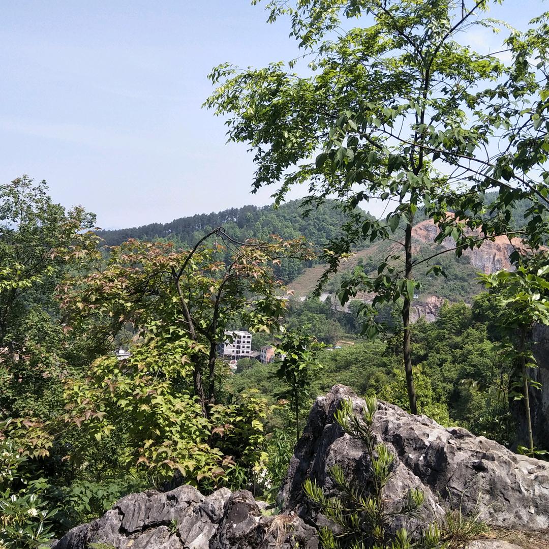 天柱县林杨阁美容养生馆