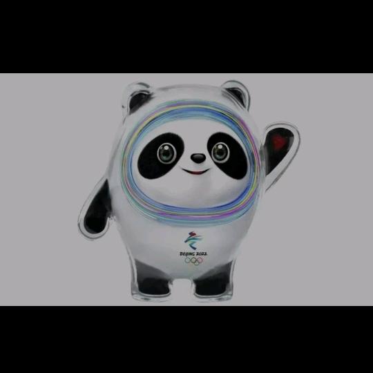 快乐小王子🤴