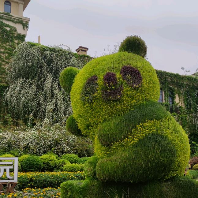 快乐是你的选择