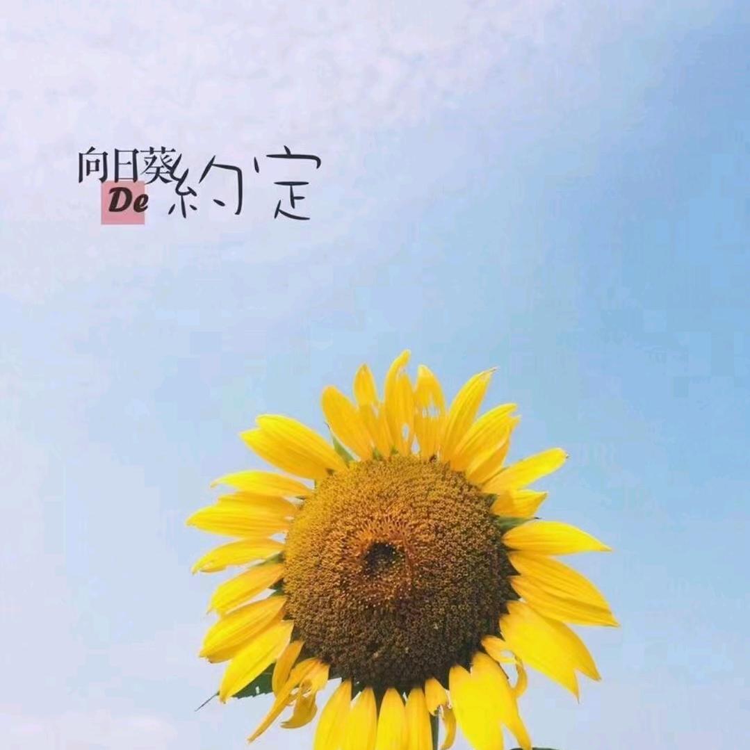 翠霞