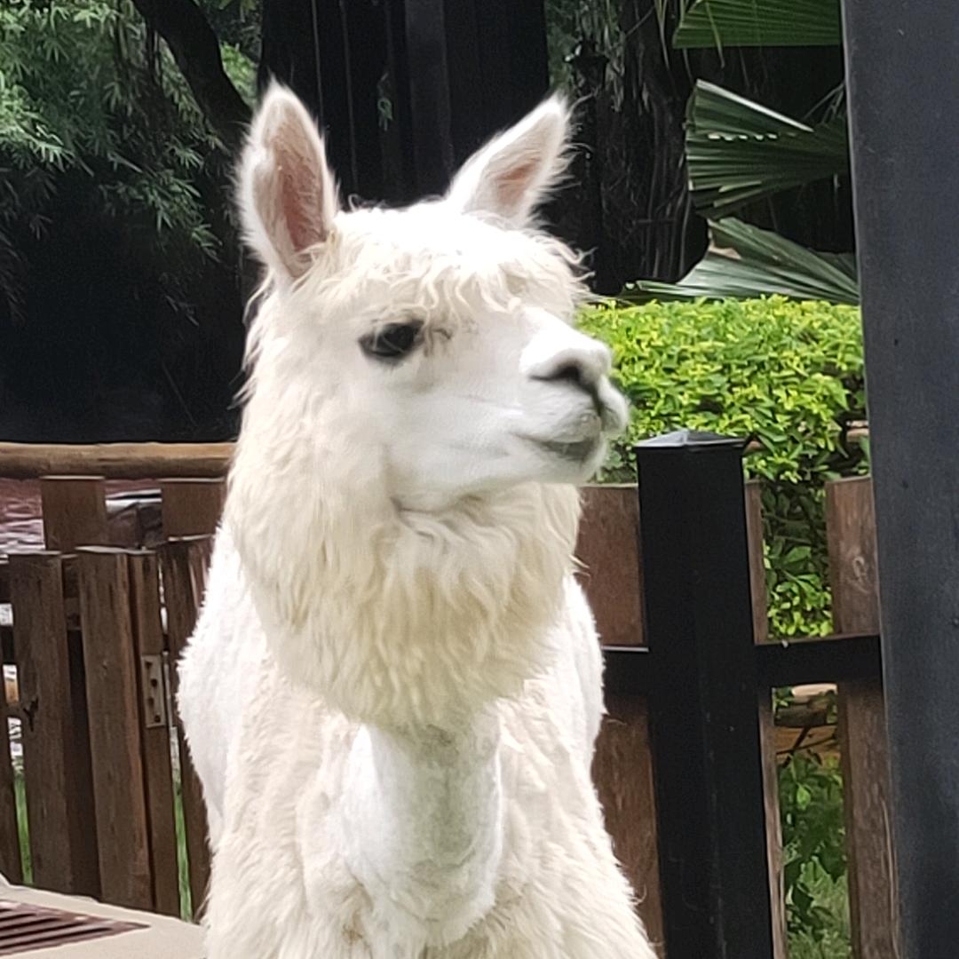 @余生有^0^妳足以