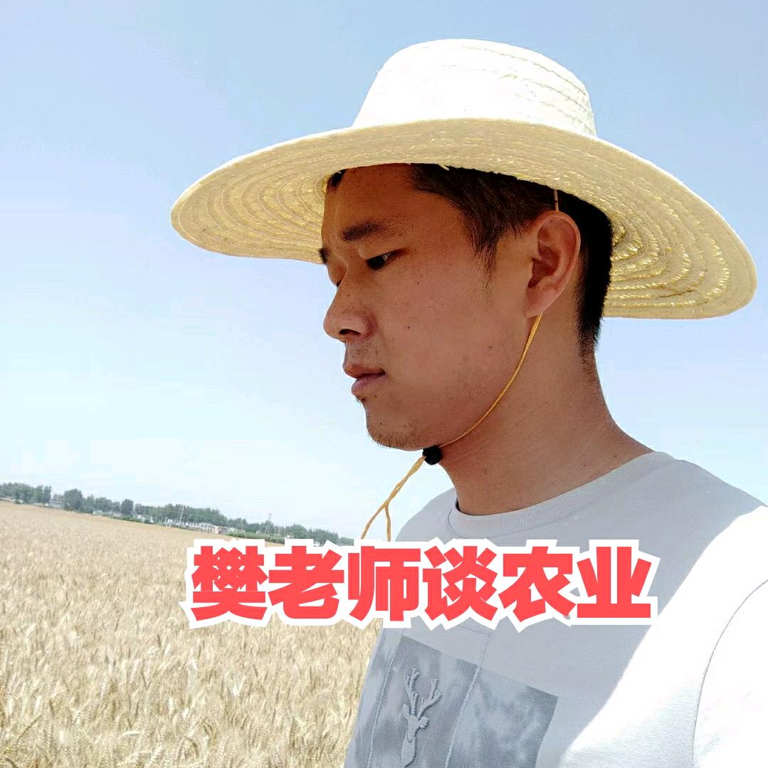 农哥小樊爱分享