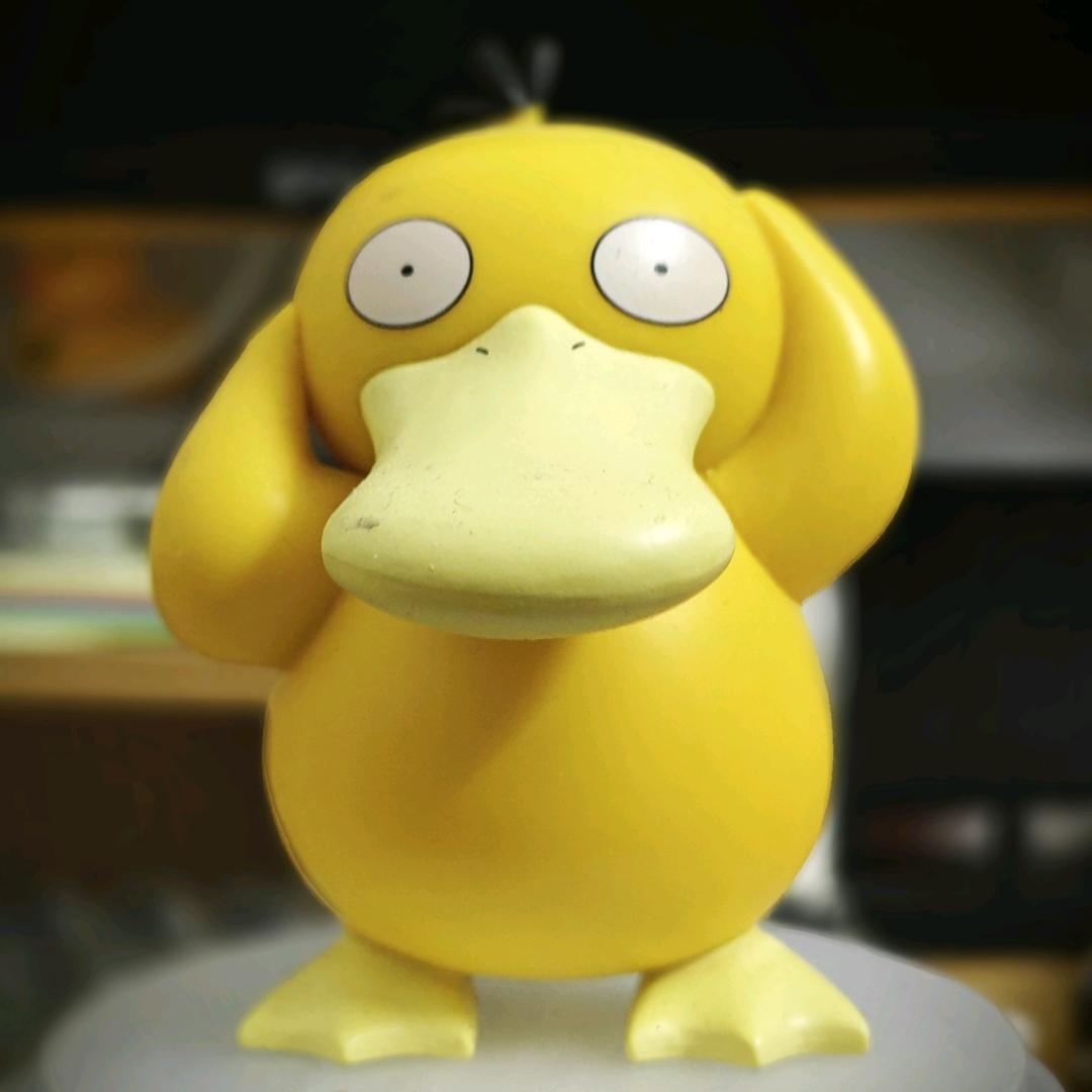 林白柏