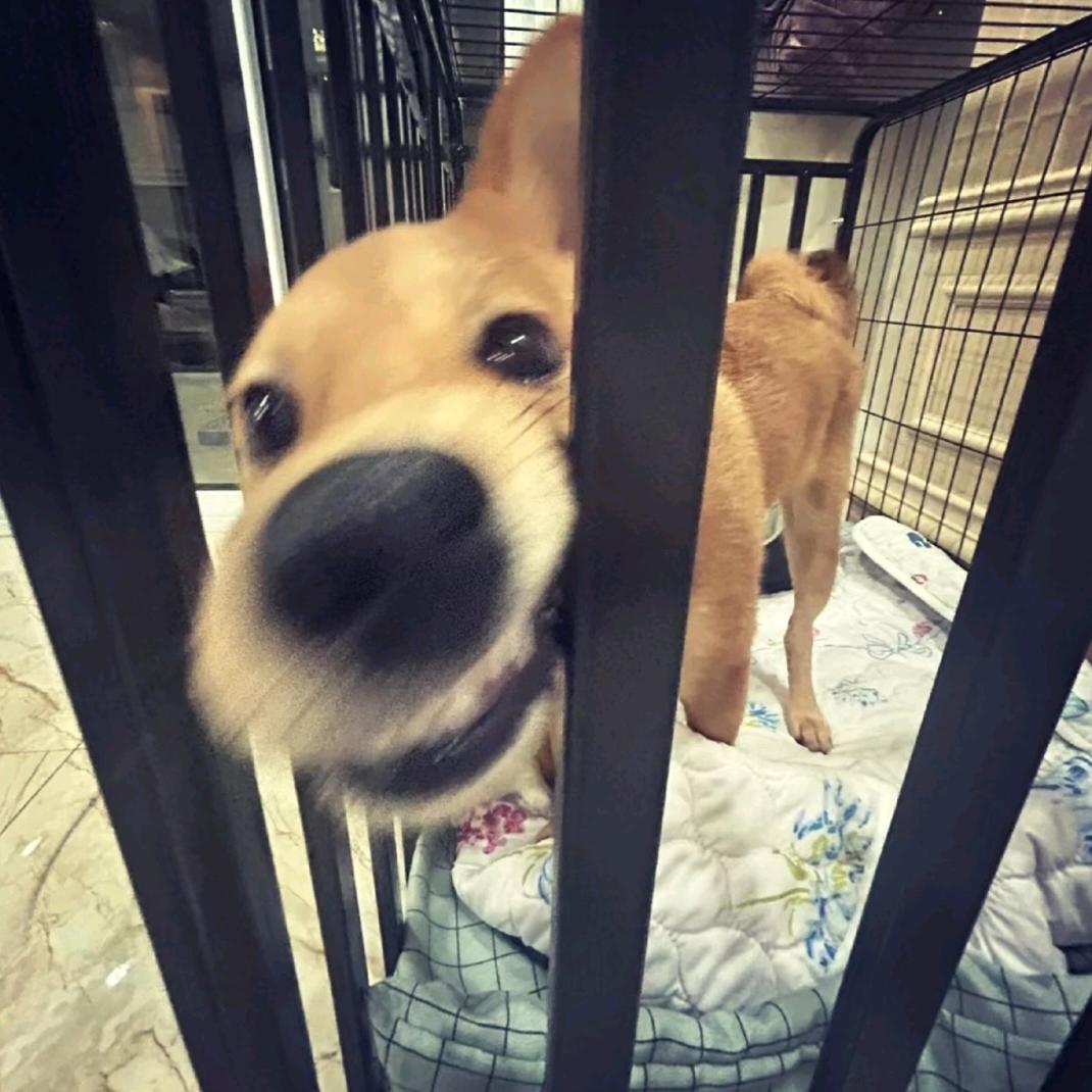 泪落下.