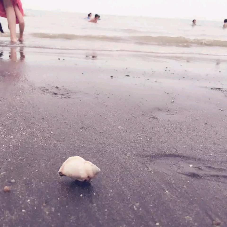 风吹麦浪🍭