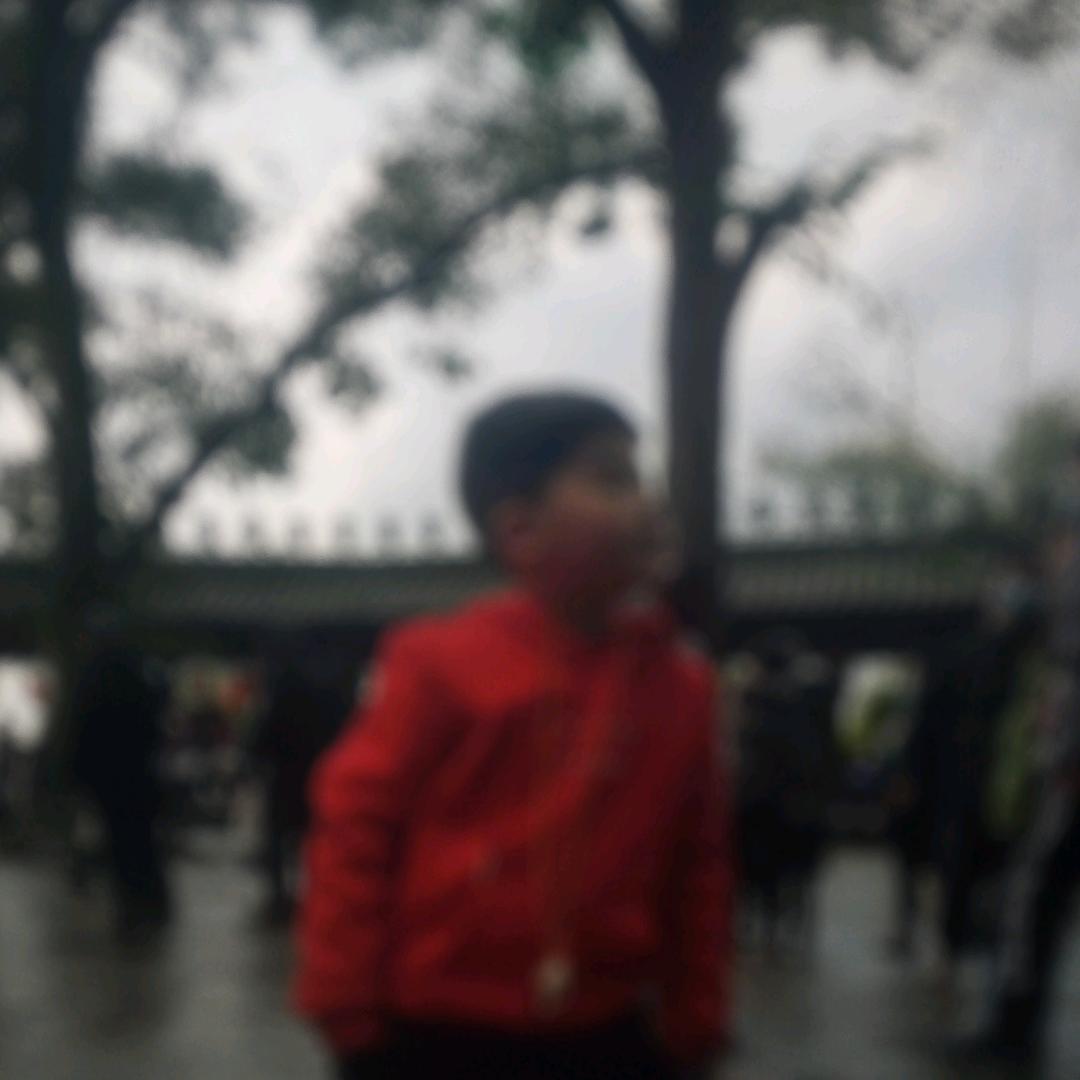睿睿