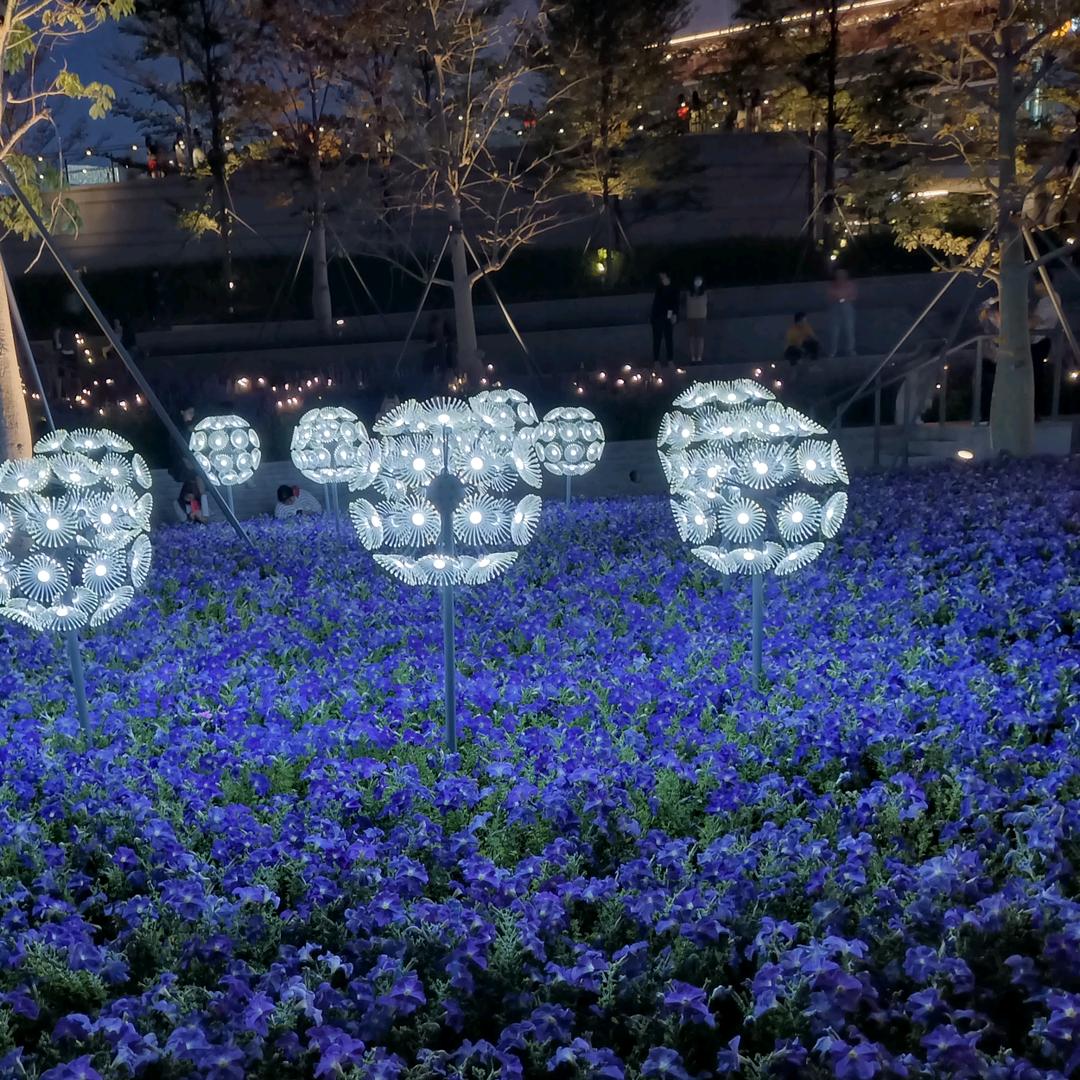 你好：小袁同学