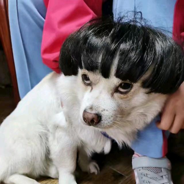 开心宝贝