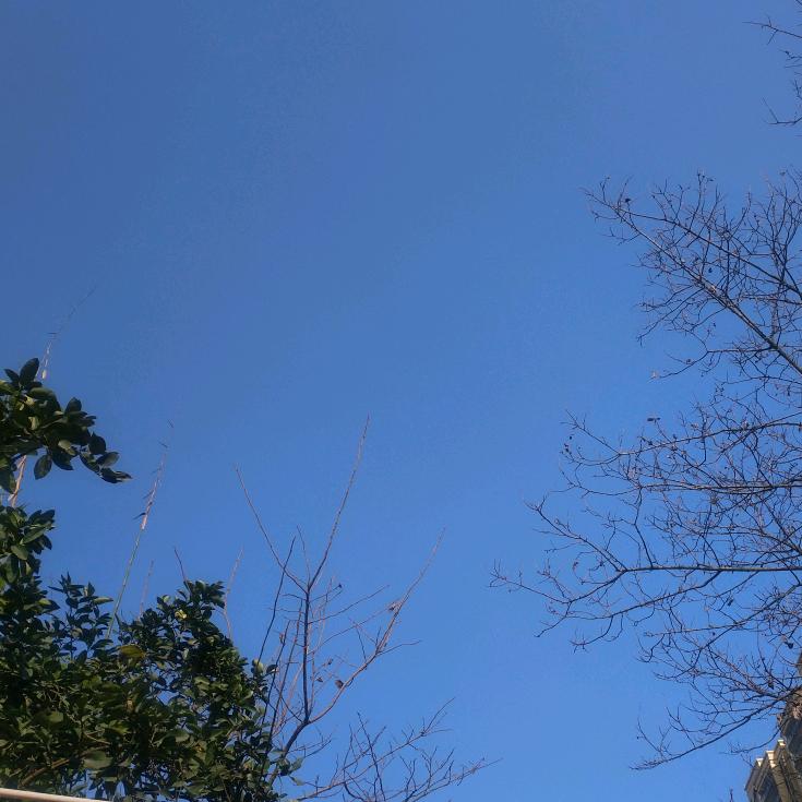 冰冰