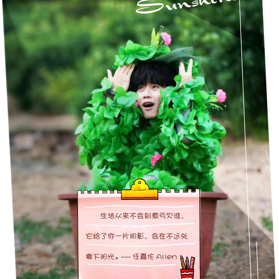 我叫王坚强