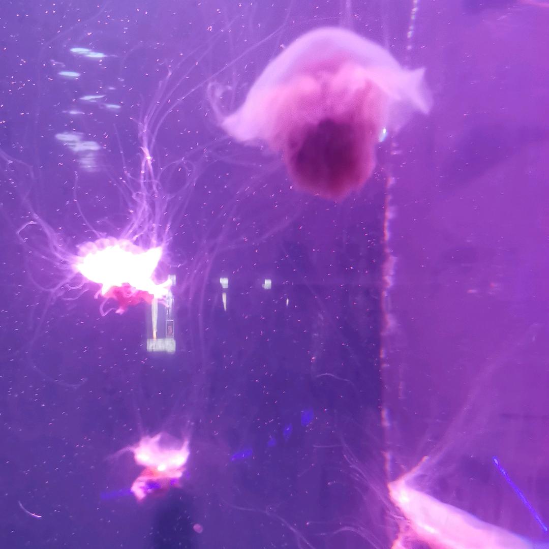 风云