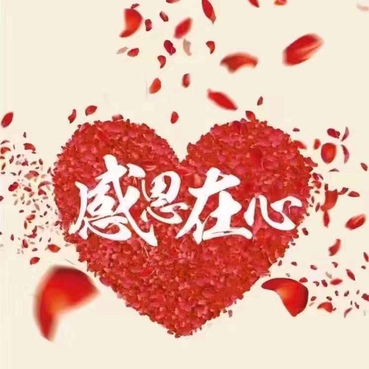 蔡甸凡先生
