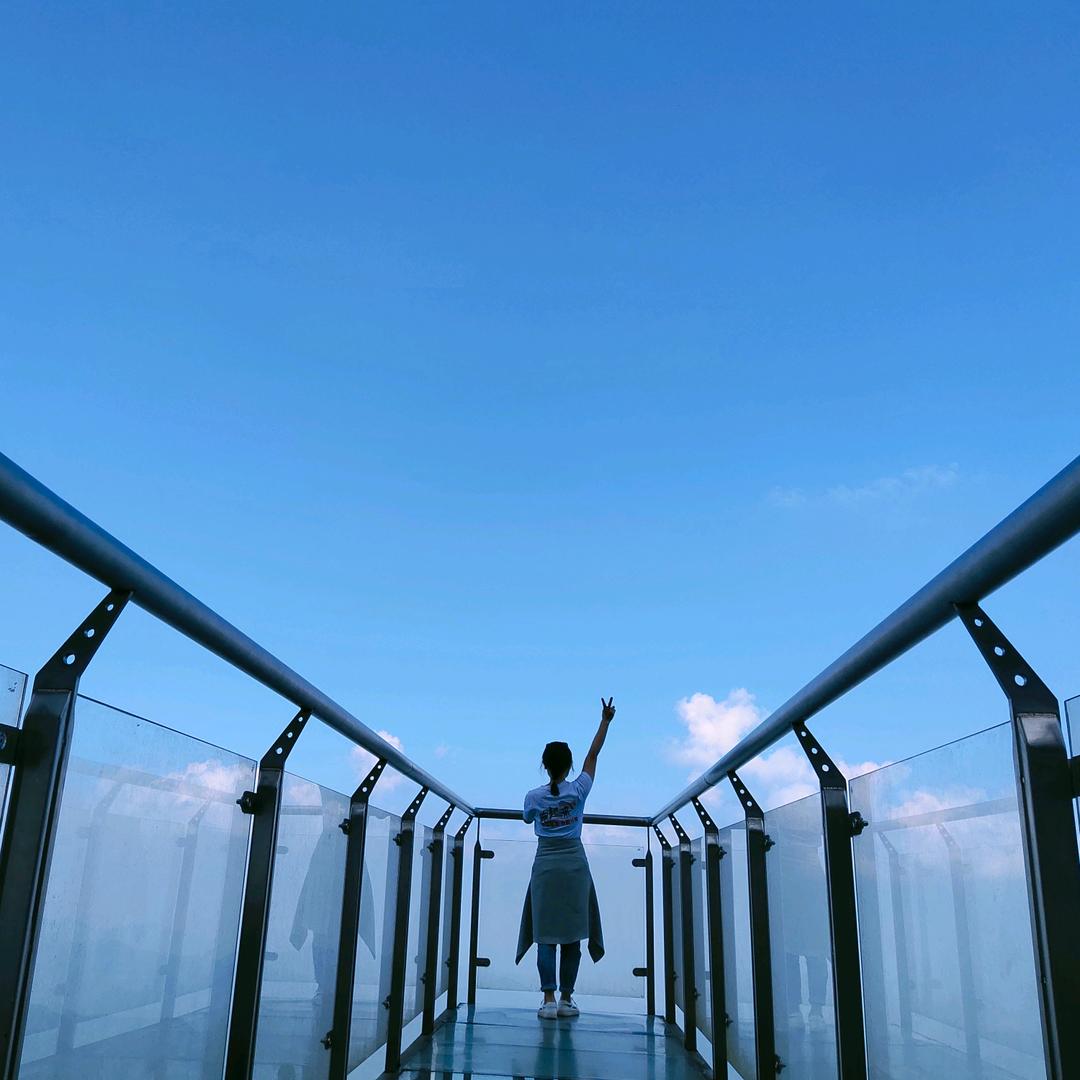 抚州沐苗黄豆豆