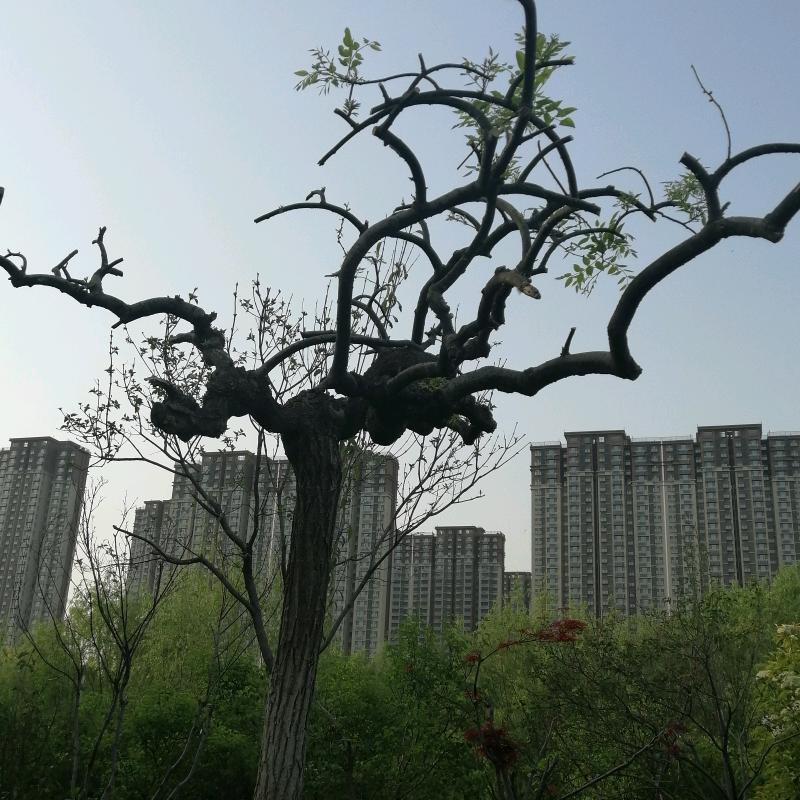 好运