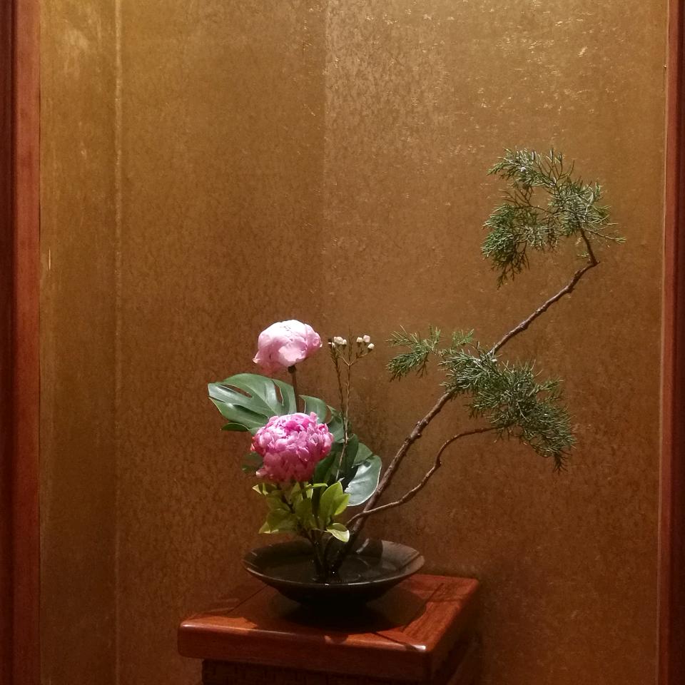 老人与花