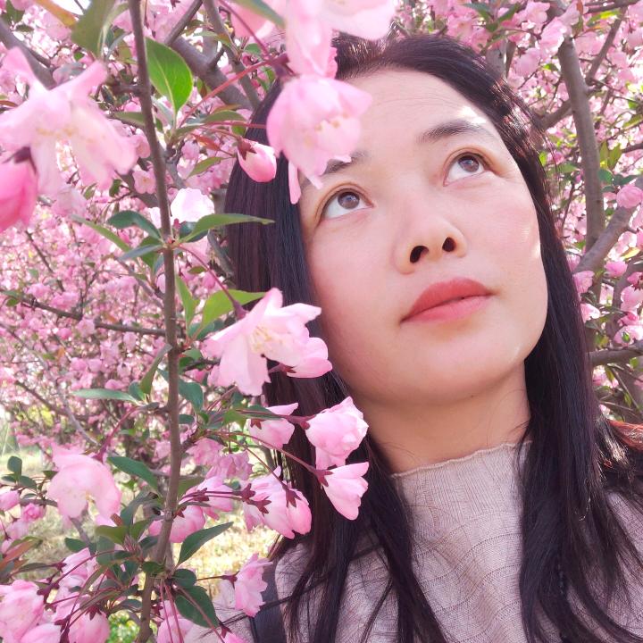 燕子飞