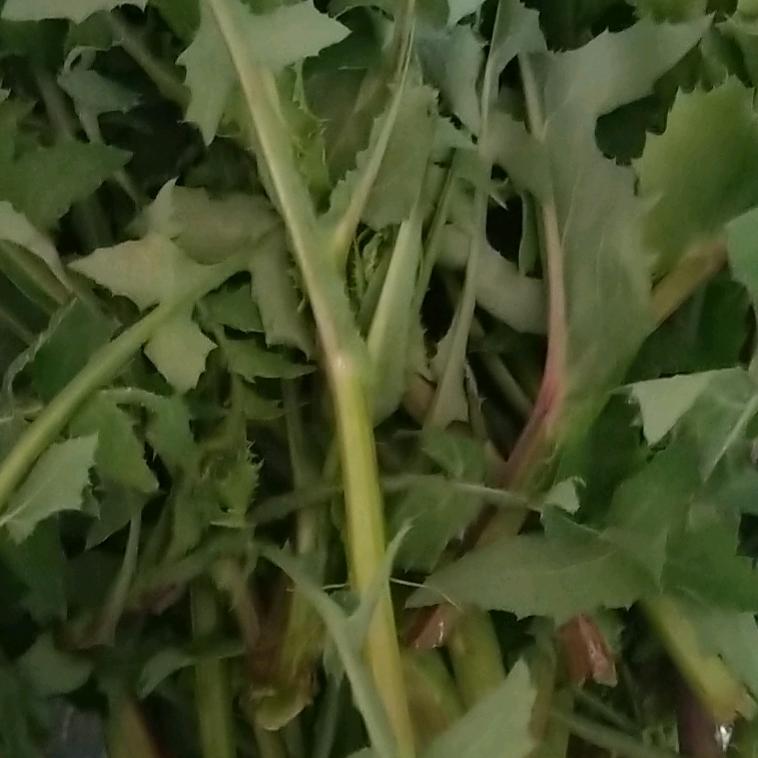 无忧小