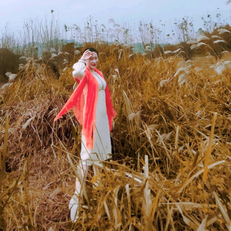 จุ๊บA+丁宁（有关必回）