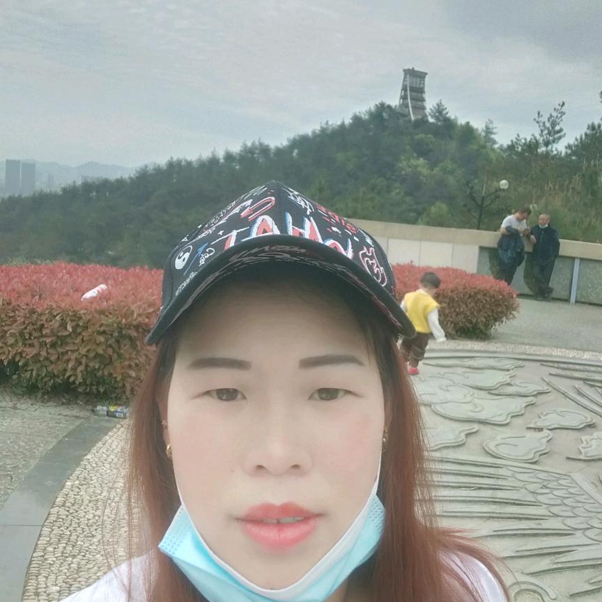 小卢燕