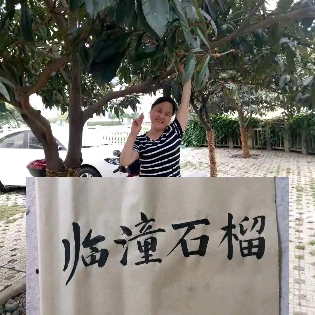 临潼石榴