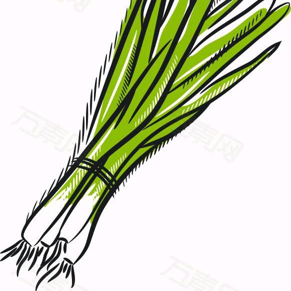 诸事顺遂🍎大葱