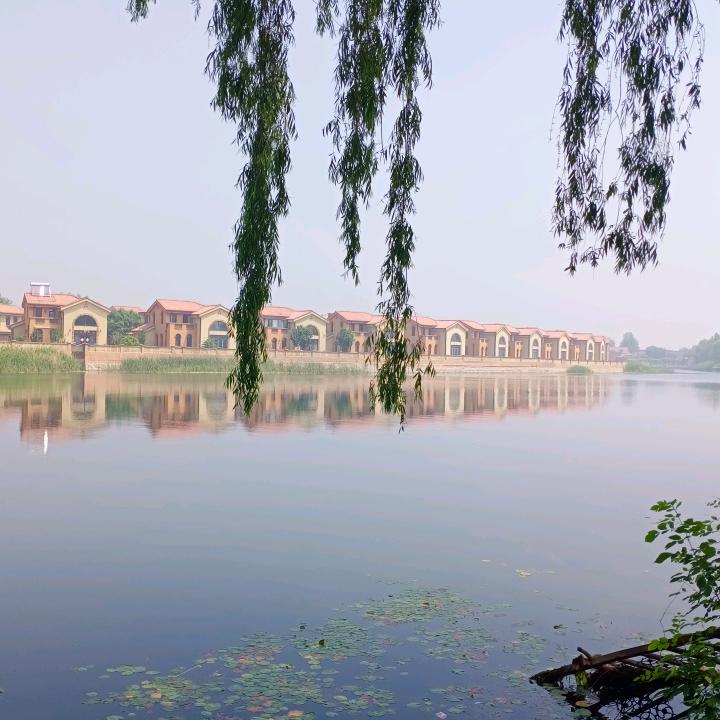 木子李1958砚波