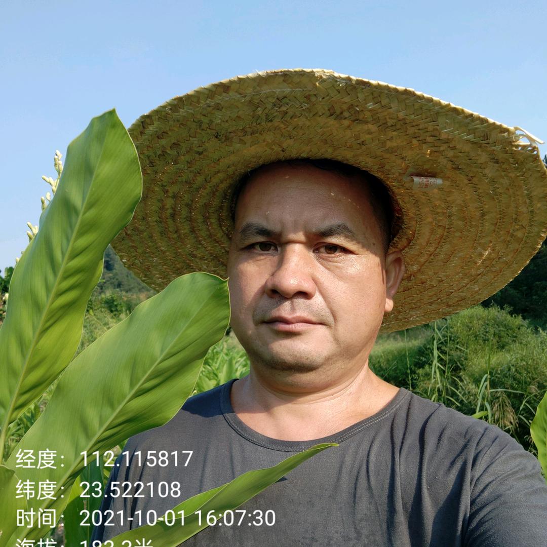 龙田种养农产品