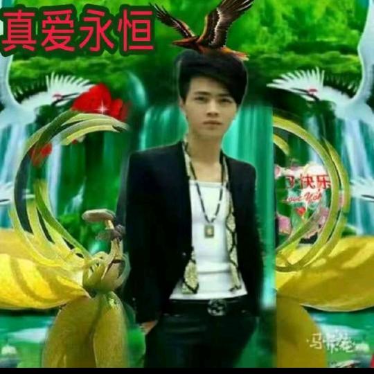 爱恨情仇《双木》