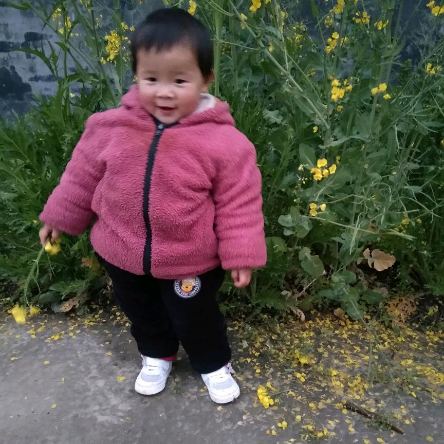 老张一网情深