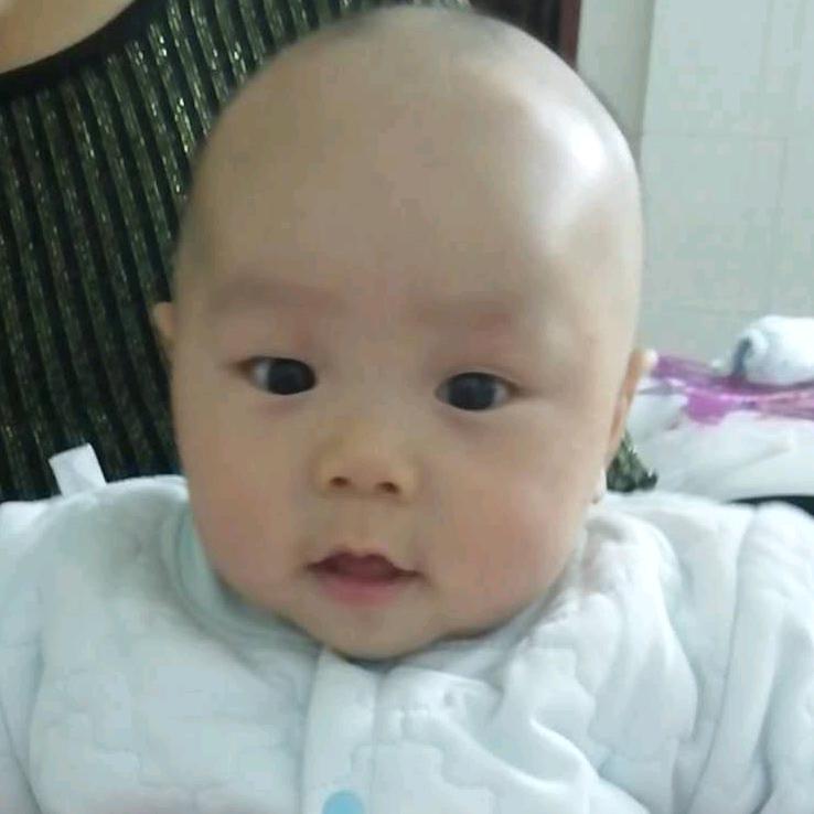 贼可爱